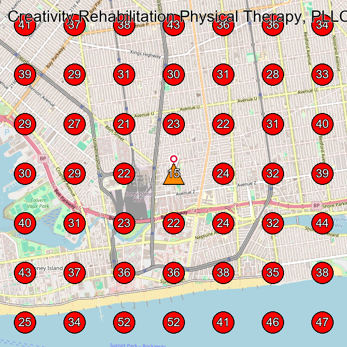 Creativity Rehabilitation Physical Therapy, PLLC GeoGrid visibility map for Physical Therapist in Brooklyn